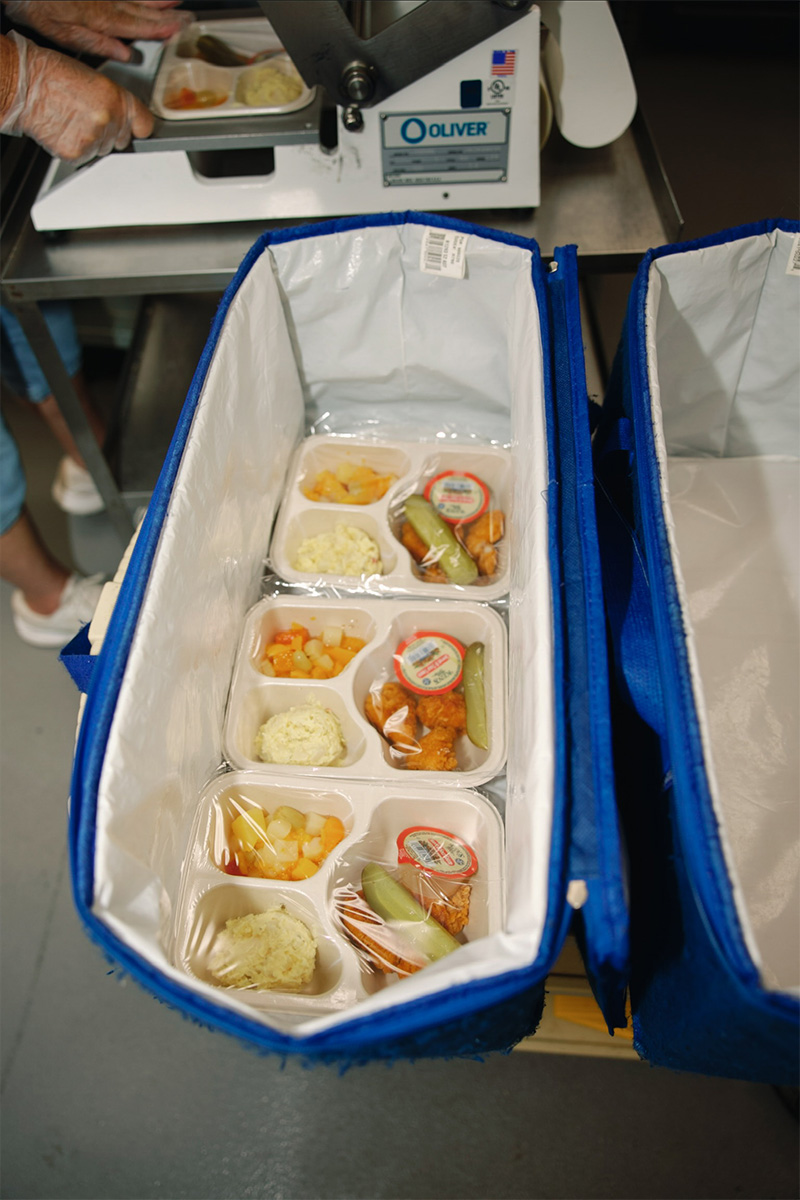 meals in an insulated bag